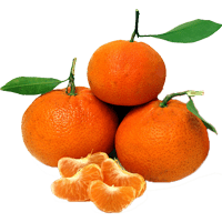 نارنگی پچ ممتاز